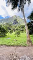 Inselrundfahrt mit den Jeeps auf Moorea  &ndash; &copy; Jacob Spangenberg (Eberhardt TRAVEL)