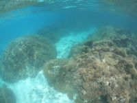 Lagunentour Bora Bora - Schnorcheln &ndash; &copy; Jacob Spangenberg (Eberhardt TRAVEL)