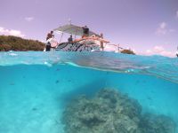 Lagunentour Bora Bora - Schnorcheln  &ndash; &copy; Jacob Spangenberg (Eberhardt TRAVEL)