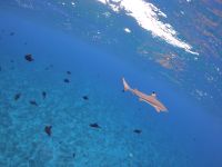 GOPR7590.JPG &ndash; &copy; Jacob Spangenberg (Eberhardt TRAVEL)