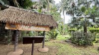 Bougainville Park, Tahiti &ndash; &copy; Mareike Schmidt (Eberhardt TRAVEL)