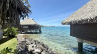 Intercontinental Hotel, Tahiti &ndash; &copy; Mareike Schmidt (Eberhardt TRAVEL)