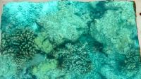 Glasbodenboot, Rangiroa &ndash; &copy; Mareike Schmidt (Eberhardt TRAVEL)