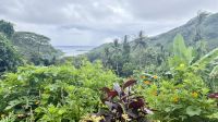 Huahine &ndash; &copy; Mareike Schmidt (Eberhardt TRAVEL)
