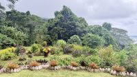 Huahine &ndash; &copy; Mareike Schmidt (Eberhardt TRAVEL)