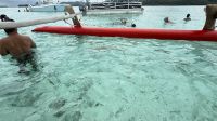 Schwimmen mit Schwarzspitzen-Riffhaien, Bora Bora &ndash; &copy; Mareike Schmidt (Eberhardt TRAVEL)