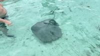 Mantarochen, Bora Bora &ndash; &copy; Mareike Schmidt (Eberhardt TRAVEL)