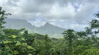 Belvedere Lookout Point, Raiatea  &ndash; &copy; Mareike Schmidt (Eberhardt TRAVEL)