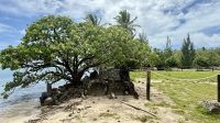 Marae Taputapuatea, Raiatea &ndash; &copy; Mareike Schmidt (Eberhardt TRAVEL)