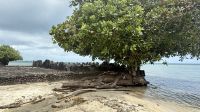 Marae Taputapuatea, Raiatea &ndash; &copy; Mareike Schmidt (Eberhardt TRAVEL)