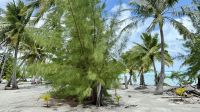 Moto Mahana, Taha'a