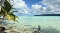 Moto Mahana, Taha'a &ndash; &copy; Mareike Schmidt (Eberhardt TRAVEL)