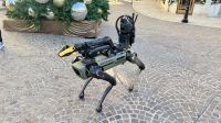 Roboterhund, Rodeo Drive, Beverly Hills, Los Angeles  &ndash; &copy; Mareike Schmidt (Eberhardt TRAVEL)