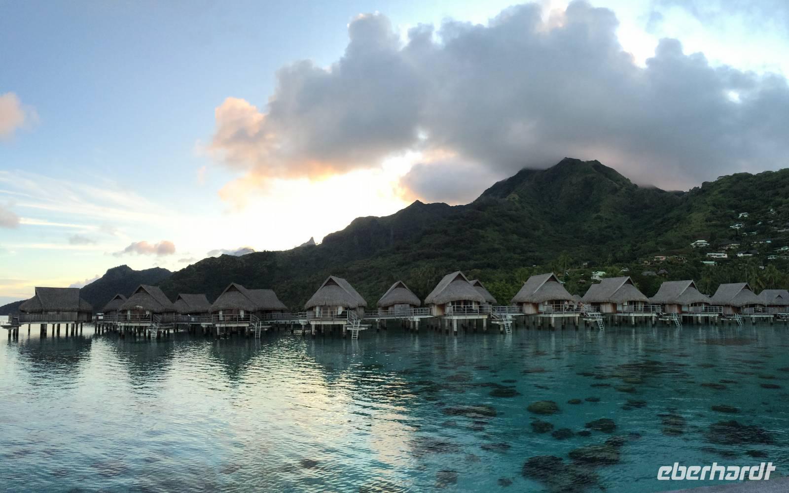0493 Moorea &ndash; &copy; Ngoc Anh Nguyen (Eberhardt TRAVEL)