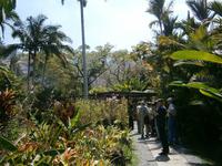 083 Orchideengarten &ndash; &copy; Ngoc Anh Nguyen (Eberhardt TRAVEL)