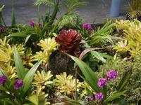 191 Impressionen Samoa &ndash; &copy; Ngoc Anh Nguyen (Eberhardt TRAVEL)