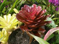 192 Impressionen Samoa &ndash; &copy; Ngoc Anh Nguyen (Eberhardt TRAVEL)