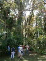 193  Impressionen Samoa &ndash; &copy; Ngoc Anh Nguyen (Eberhardt TRAVEL)