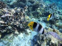 0419 (2) &ndash; &copy; Ngoc Anh Nguyen (Eberhardt TRAVEL)