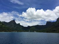 0490 Moorea &ndash; &copy; Ngoc Anh Nguyen (Eberhardt TRAVEL)
