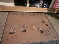 0522 Walk of Fame &ndash; &copy; Ngoc Anh Nguyen (Eberhardt TRAVEL)