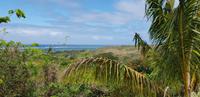 Sigatoka Nationalpark &ndash; &copy; Jacob Spangenberg (Eberhardt TRAVEL)