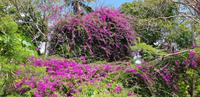 Sigatoka Nationalpark  &ndash; &copy; Jacob Spangenberg (Eberhardt TRAVEL)