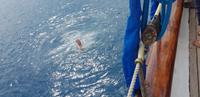 Fiji -  Schooner Island &ndash; &copy; Jacob Spangenberg (Eberhardt TRAVEL)