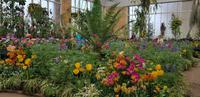 Auckland - Domain Stadtpark - Wintergarten &ndash; &copy; Jacob Spangenberg (Eberhardt TRAVEL)
