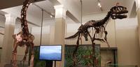 Auckland - Nationalmuseum &ndash; &copy; Jacob Spangenberg (Eberhardt TRAVEL)