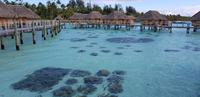 Bora Bora Pearl Beach Resort &ndash; &copy; Jacob Spangenberg (Eberhardt TRAVEL)