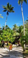 Bora Bora Pearl Beach Resort &ndash; &copy; Jacob Spangenberg (Eberhardt TRAVEL)