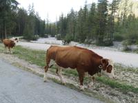 im Rautal &ndash; &copy; Jürgen Schmeißer (Eberhardt TRAVEL)