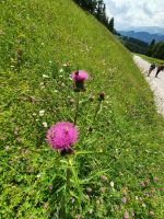 &copy; Ria Heilmann (Eberhardt TRAVEL)