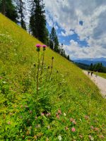 &copy; Ria Heilmann (Eberhardt TRAVEL)