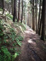 Wanderweg &ndash; &copy; Betina Marinov (Eberhardt TRAVEL)