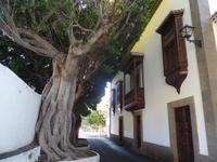 La Palma &ndash; &copy; Kerstin Hugel (Eberhardt TRAVEL)
