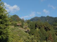 La Palma &ndash; &copy; Kerstin Hugel (Eberhardt TRAVEL)