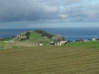 Teeplantage &ndash; &copy; Kerstin Hugel (Eberhardt TRAVEL)