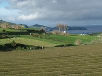 Teeplantage &ndash; &copy; Kerstin Hugel (Eberhardt TRAVEL)