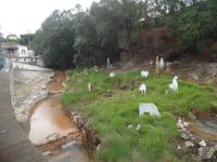 Furnas  &ndash; &copy; Kerstin Hugel (Eberhardt TRAVEL)