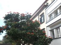 Madeira  &ndash; &copy; Kerstin Hugel (Eberhardt TRAVEL)