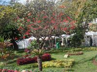 Madeira  &ndash; &copy; Kerstin Hugel (Eberhardt TRAVEL)