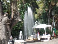 Madeira  &ndash; &copy; Kerstin Hugel (Eberhardt TRAVEL)