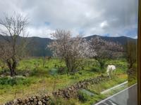 20190117_124604 &ndash; &copy; Ria Heilmann (Eberhardt TRAVEL)