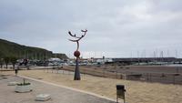 AIDAcara, Azoren, Insel Terceira, Praia da Victoria &ndash; &copy; Ria Heilmann (Eberhardt TRAVEL)