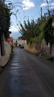 AIDAcara, Madeira, Funchal, Monte, Korbschlittenfahrt &ndash; &copy; Ria Heilmann (Eberhardt TRAVEL)