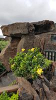 AIDAcara, Lancarote, Jameos del Aqua &ndash; &copy; Ria Heilmann (Eberhardt TRAVEL)