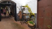 AIDAcara, Fuerteventura, Betancuria &ndash; &copy; Ria Heilmann (Eberhardt TRAVEL)