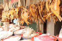 039 gesunder Trockenfisch &ndash; &copy; Kerstin Heintzel (Eberhardt TRAVEL)